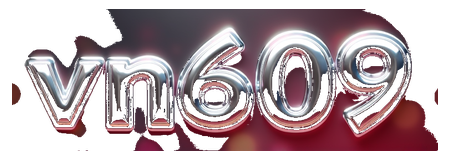 vn609 logo
